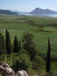 Lac de Shkoder